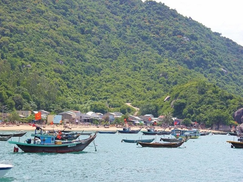 Cham Island Day Tour