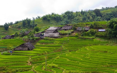 Sapa Trekking 3 days 2 nights by bus