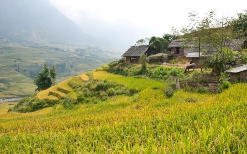 A Glimpse Of Sapa 2 Days 3 Nights (Overnight at Homestay)