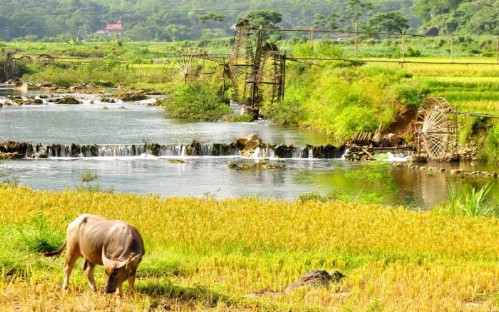 Pu Luong Nature Reserve - Ninh Binh Tour 3 Days 2 Nights