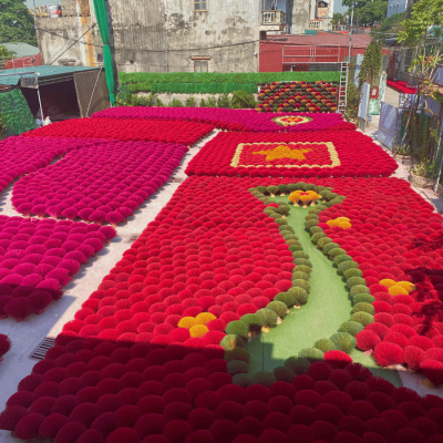 hanoi city private tour