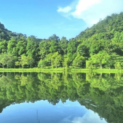 Van Long Nature Reserve