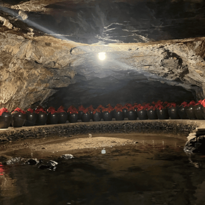 Cuc Phuong National Park