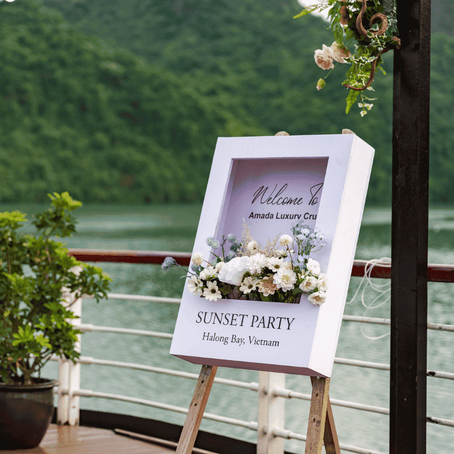 5 Star Amanda Luxury Cruise