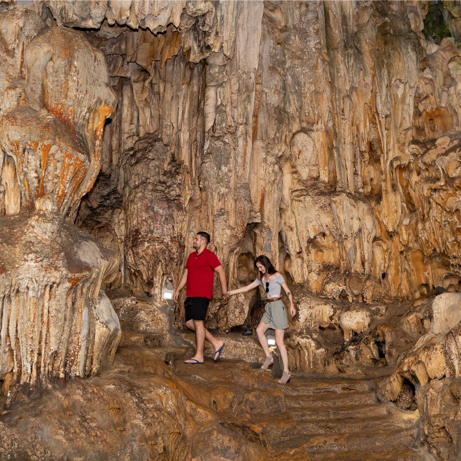 Amanda 5 Star Cruise