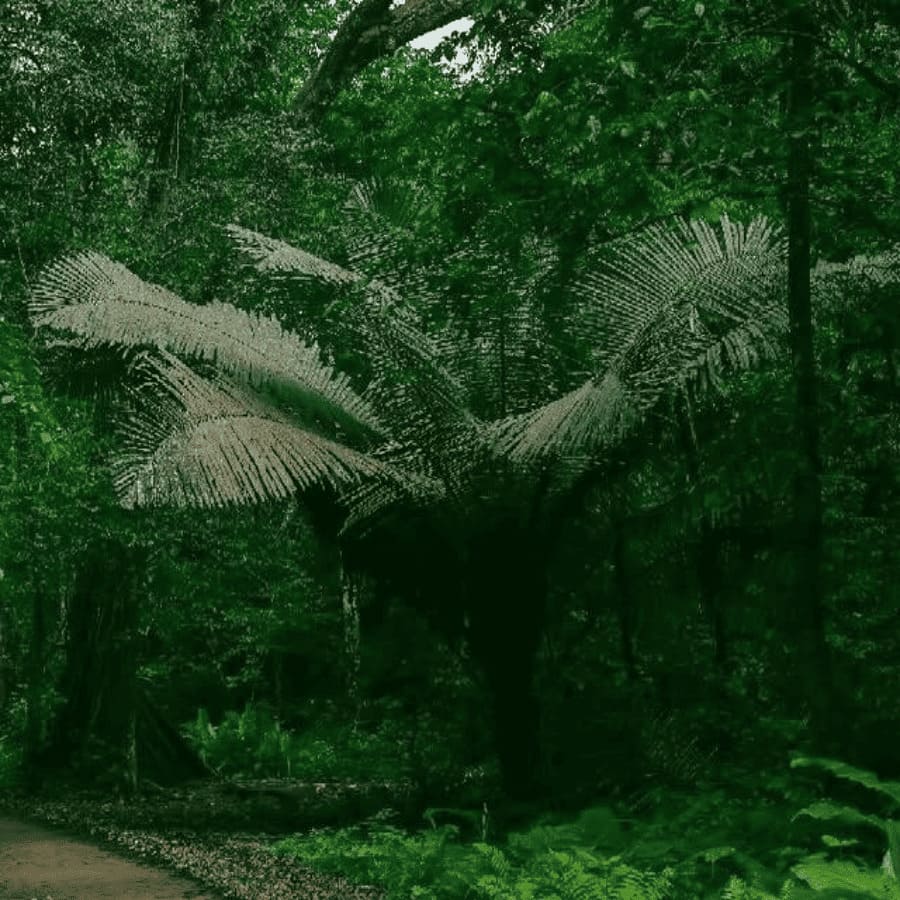 Van Long Nature Reserve & Cuc Phuong National Park Private Day Tour (1)