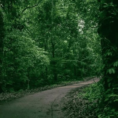 Van Long Nature Reserve & Cuc Phuong National Park Private Day Tour