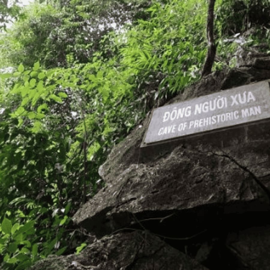 Van Long Nature Reserve & Cuc Phuong National Park Private Day Tour