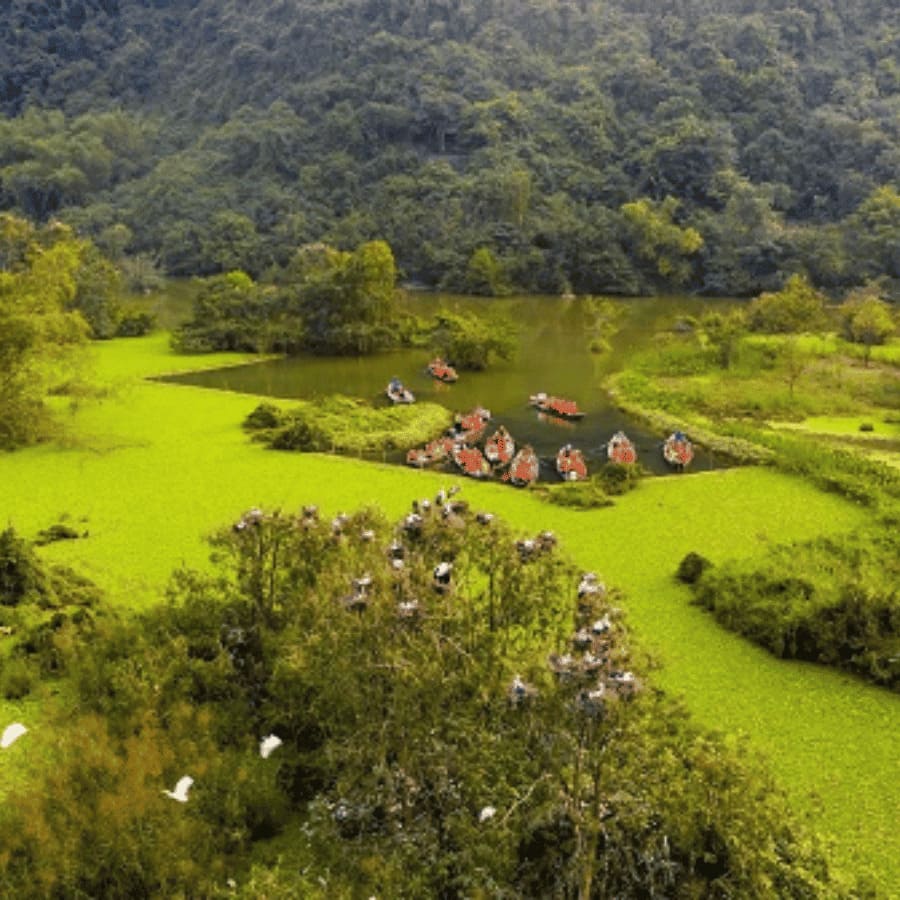 Van Long Nature Reserve & Cuc Phuong National Park Private Day Tour