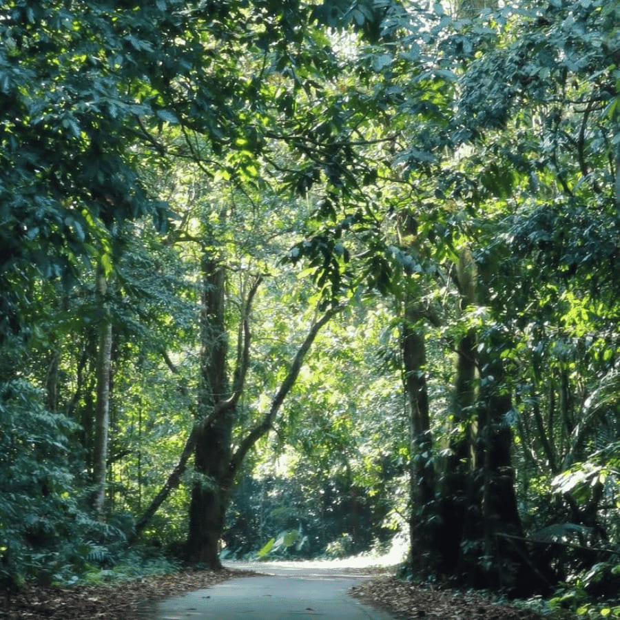 Van Long Nature Reserve & Cuc Phuong National Park Private Day Tour