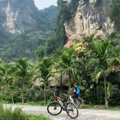 Hanoi - Bai Dinh Pagoda or Hoa Lu - Bich Dong Cycling & Thung Nham Bird Valley Full - Day Nature Exploration