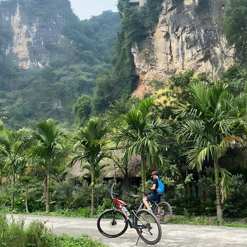 Hanoi - Bai Dinh Pagoda or Hoa Lu - Bich Dong Cycling & Thung Nham Bird Valley Full - Day Nature Exploration