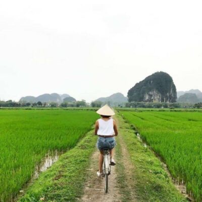 Hanoi - Bai Dinh Pagoda or Hoa Lu - Bich Dong Cycling & Thung Nham Bird Valley Full - Day Nature Exploration