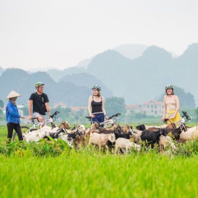 Hanoi – Hoa Lu – Cycling – Trang An Full-Day Scenic Exploration