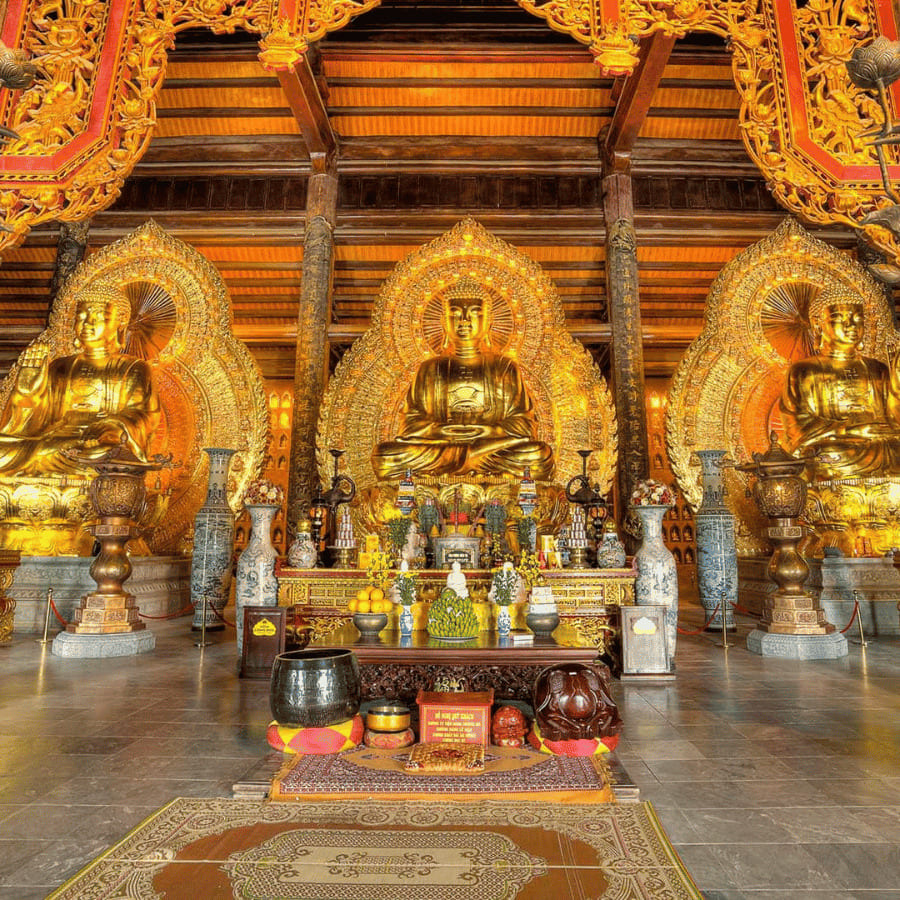 Ninh Binh 1 Day Jeep Adventure - Bai Dinh or Hoa Lu, Countryside Jeep Ride & Mua Cave