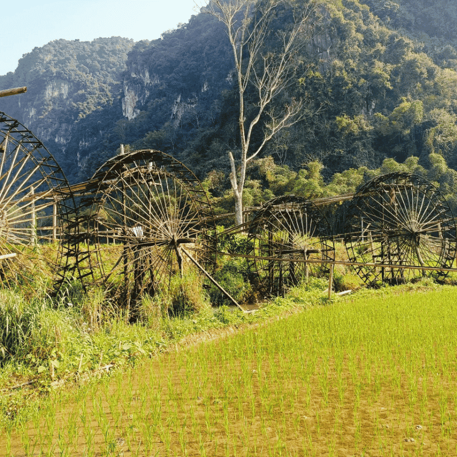 Pu Luong 3 Day Soft Adventure Tour – Hidden Nature, Villages, and Waterfalls