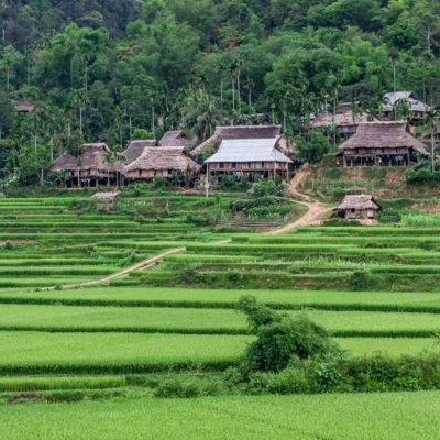 Pu Luong Easy Motorbike 1 Day Tour – Rice Terraces, Waterfall, and Hidden Cave Adventure