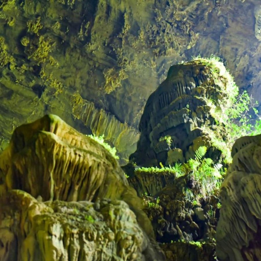 Pu Luong Easy Motorbike 1 Day Tour – Rice Terraces, Waterfall, and Hidden Cave Adventure