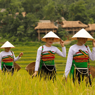 Pu Luong Hidden Valley Trek – Discover the Spirit of Mountains and Rice Terraces 2 Days