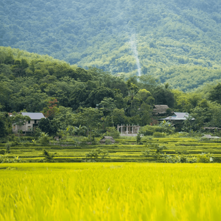 Pu Luong Hidden Valley Trek – Discover the Spirit of Mountains and Rice Terraces 2 Days