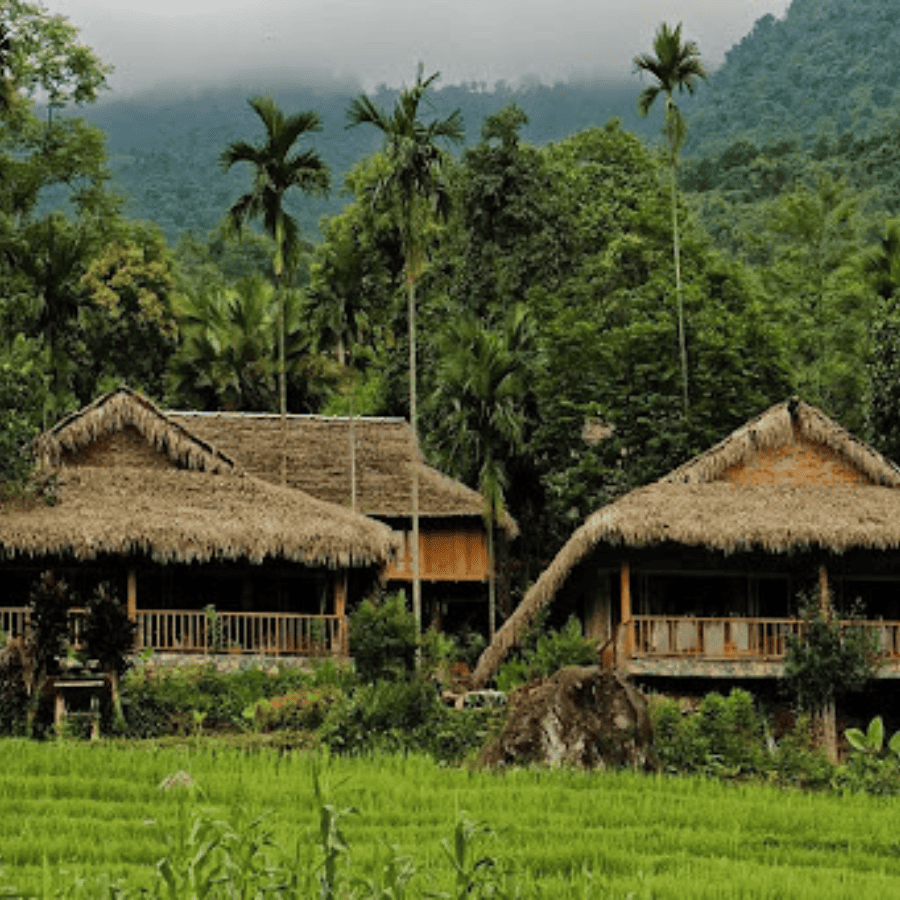 Pu Luong Leisure Escape 2 Days 1 Night – Hanoi – Pu Luong Nature Reserve – Don Village – Lan Village – Bamboo Rafting Adventure