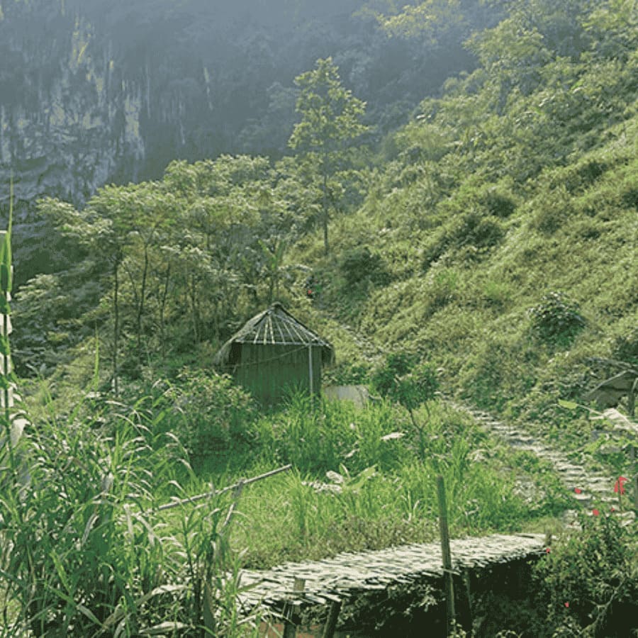 Pu Luong Nature Trek - Hanoi to Kho Muong Cave & Thai Villages 1 Day Adventure