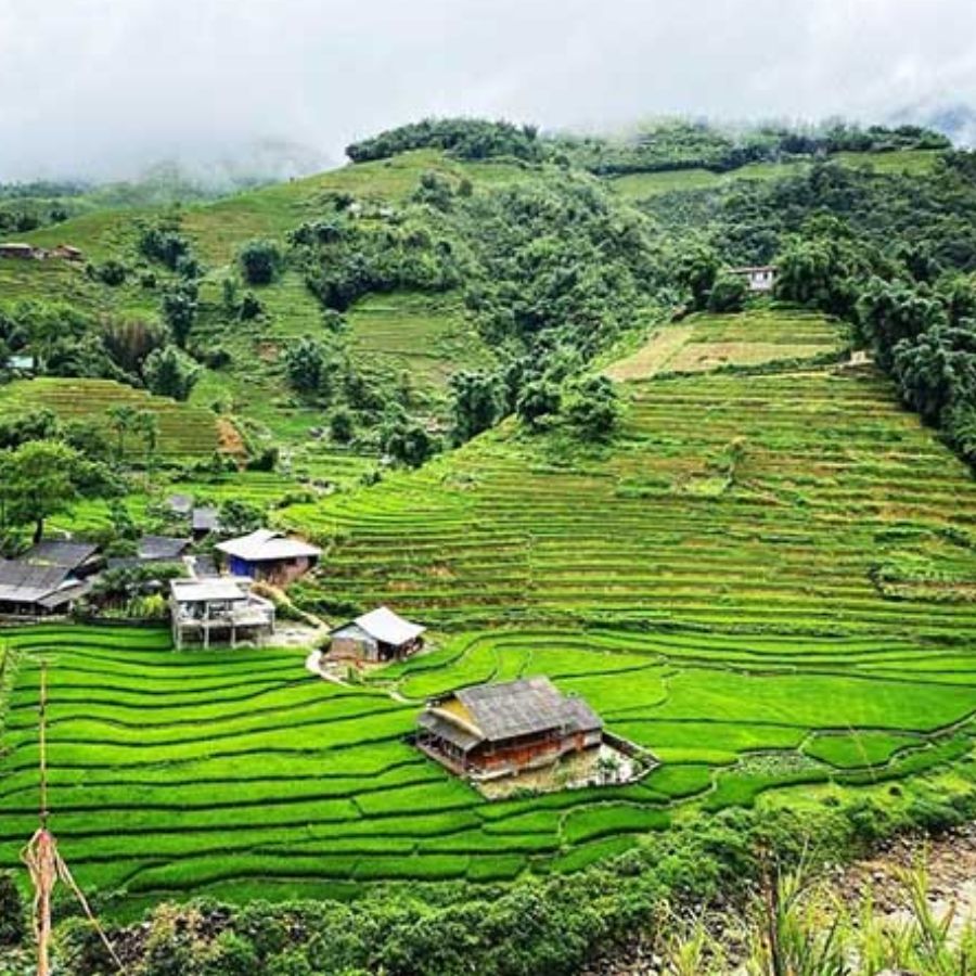 Sapa 2 Day 1 Night Homestay Trekking Tour – Lao Chai, Ta Van & Giang Ta Chai Exploration
