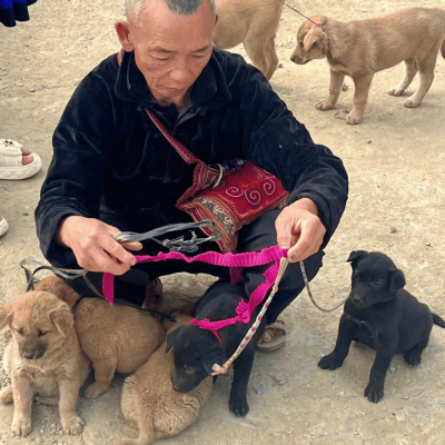 Sapa 3 Day 2 Night Mountain Discovery Tour – Cat Cat, Lao Chai, Ta Van, Giang Ta Chai and Fansipan Views