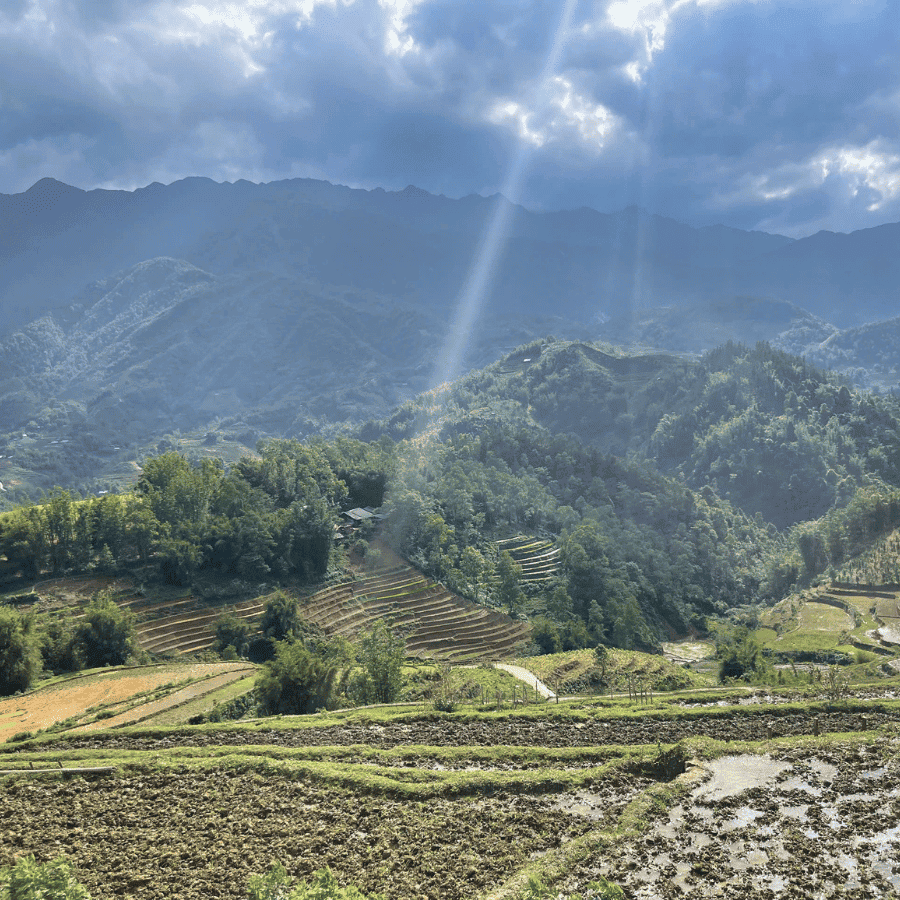 Sapa Trekking Adventure - 1 Day Journey through Y Linh Ho, Lao Chai, and Ta Van Villages