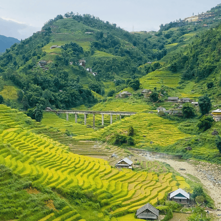 Sapa Trekking Adventure - 1 Day Journey through Y Linh Ho, Lao Chai, and Ta Van Villages