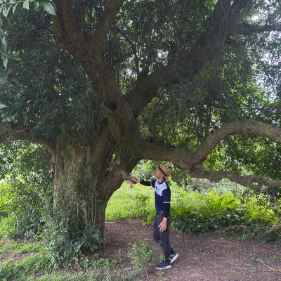 Duong Lam Ancient Village with Cultural Extensions