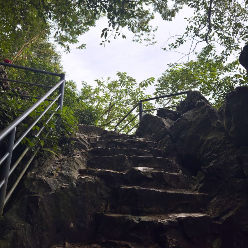 Duong Lam Ancient Village with Cultural Extensions