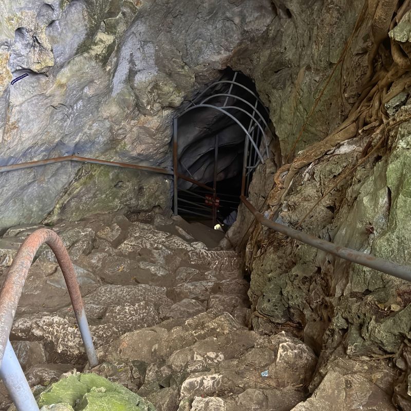 Duong Lam Ancient Village with Cultural Extensions