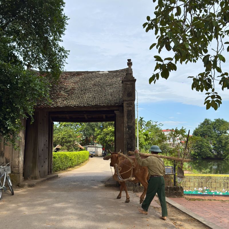 Duong Lam Ancient Village with Cultural Extensions