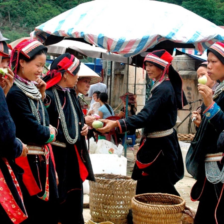 6 Days Remote Northern Vietnam Ha Giang, Cao Bang & Ban Gioc Waterfalls