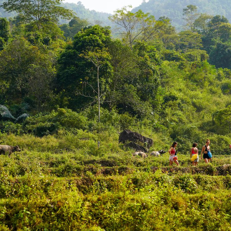 Ba Be Lake Adventure and Nature Experience 3 Days 2 Nights