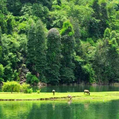 Explore Ba Be National Park 2 Days 1 Night