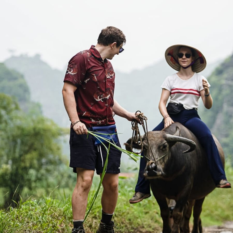 Vietnam Rural Life Experience – Buffalo Bathing, Farming and Local Cooking Tour