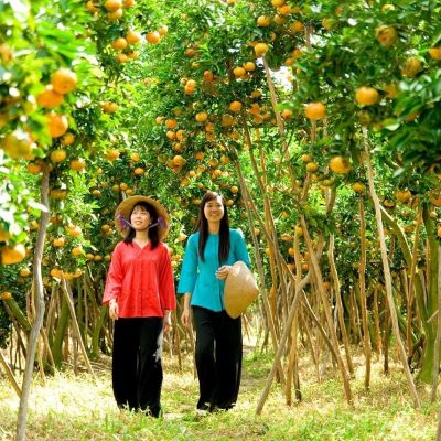 Amazing Cai Rang Floating Market And Mekong Delta Tour From Ho Chi Minh City 2 Days 1 Night