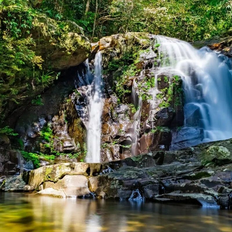 Bach Ma National Park Discovery Tour