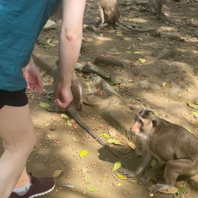 Can Gio Day Tour – Explore Monkey Island & Mangrove Forest