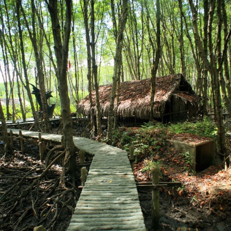 Can Gio Day Tour – Explore Monkey Island & Mangrove Forest