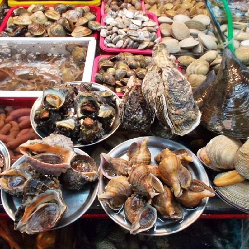 Cham Island Biosphere Reserve Snorkeling Group Tour from Da Nang and Hoi An