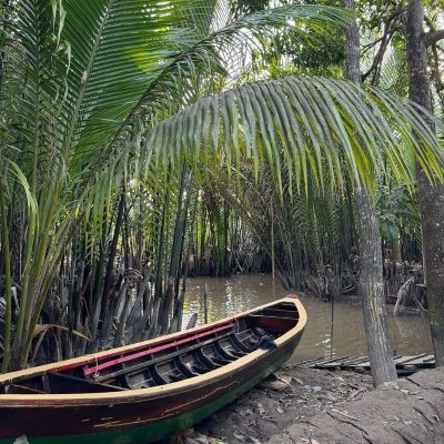 Cu Chi Tunnels & Mekong River Full-Day Tour – History and Delta Experience