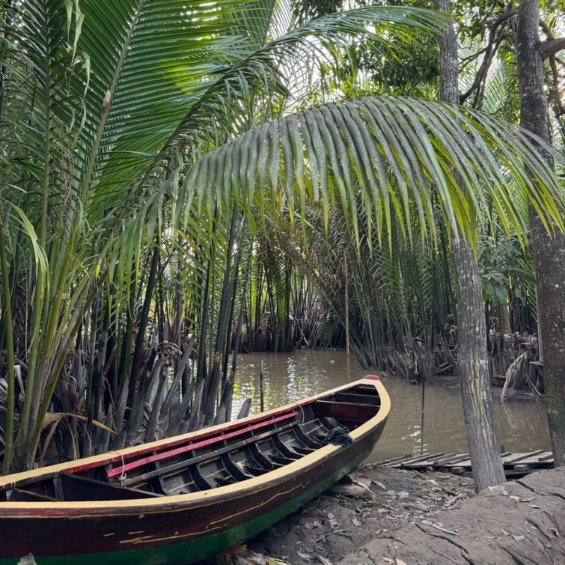 Cu Chi Tunnels & Mekong River Full-Day Tour – History and Delta Experience