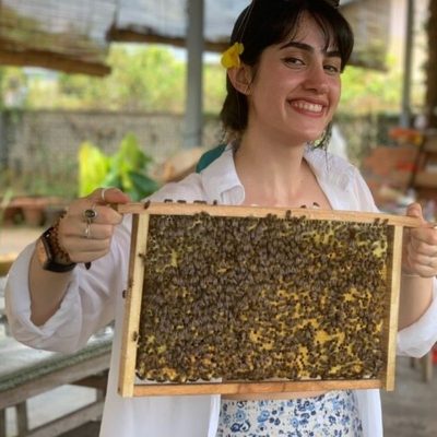 Cu Chi Tunnels – Ho Chi Minh City Full-Day Historical Tour