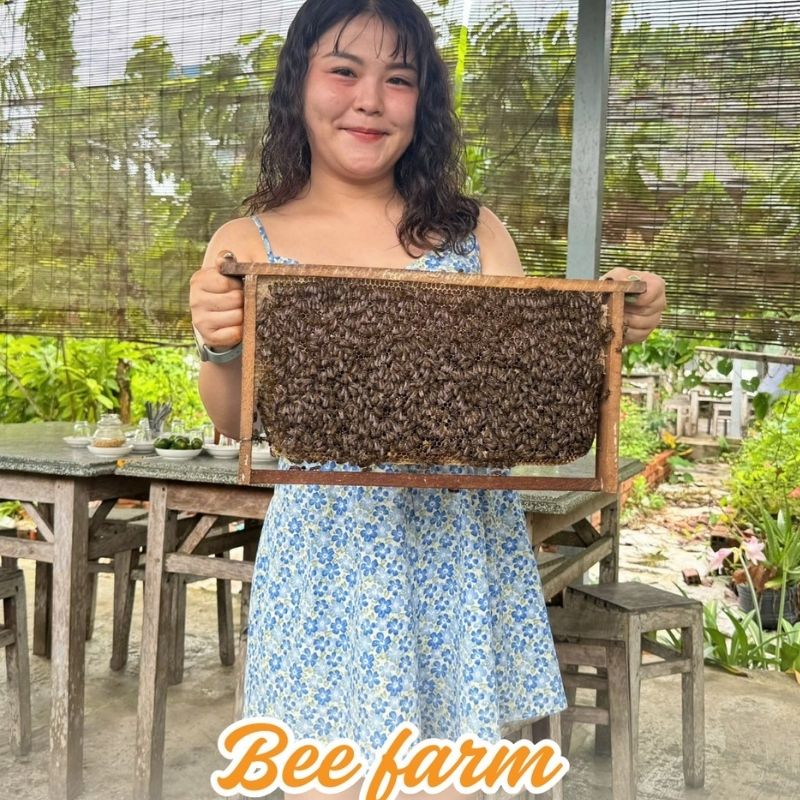 Mekong River Day Tour – Ho Chi Minh City – My Tho – Unicorn Island – Vinh Trang Pagoda Full-Day Experience