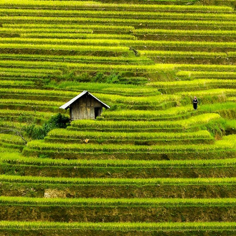 Phong Nha Cave & Paradise Cave Highlights Tour from Dong Hoi Phong Nha