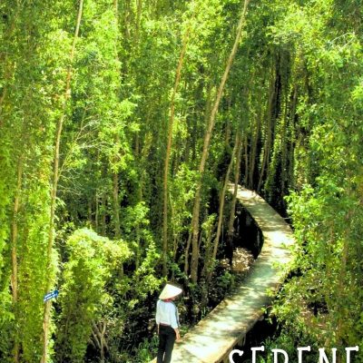 Tan Lap Floating Village Full-Day Tour – Cajuput Forest – Swamp Boat Ride – Southern Vietnam Eco Experience