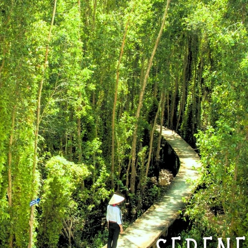 Tan Lap Floating Village Full-Day Tour – Cajuput Forest – Swamp Boat Ride – Southern Vietnam Eco Experience